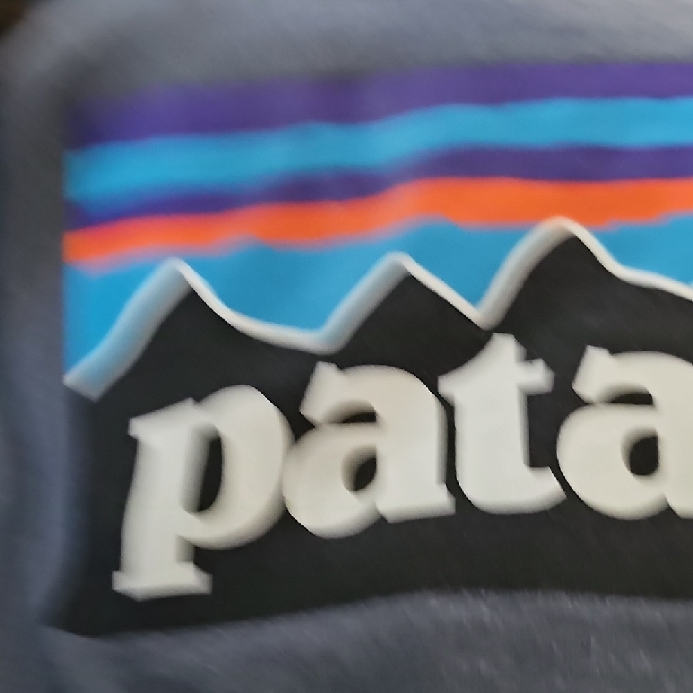 Patagonia Gray Short Sleeve Tee - Picture 5 of 6